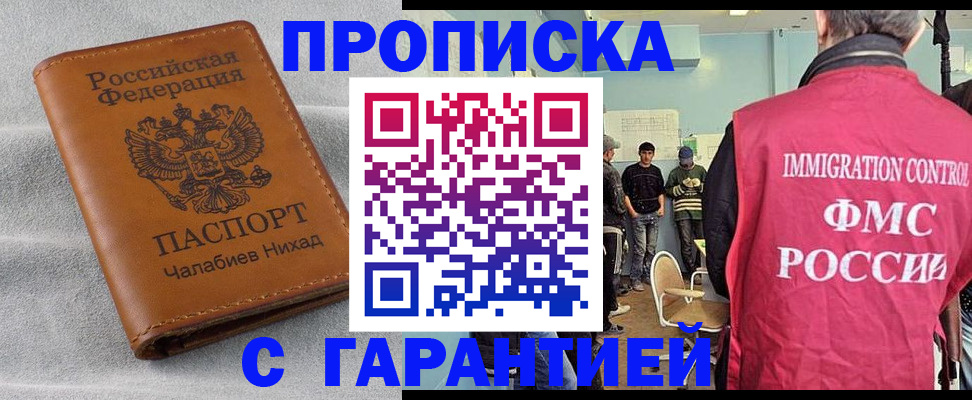 прописка в Курской области